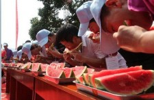 免费吃瓜每日大赛,免费吃瓜每日大赛，瓜友狂欢盛宴来袭！