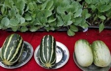 娱乐吃瓜壁纸,揭秘明星幕后故事，带你领略娱乐圈风云变幻