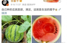 可以吃娱乐圈瓜吗