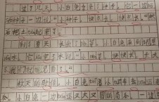 吃瓜大赛作文600字,一场舌尖上的吃瓜大赛