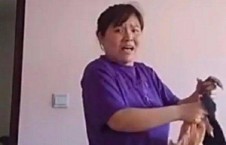 娱乐吃瓜君郭老师视频,揭秘娱乐圈幕后故事