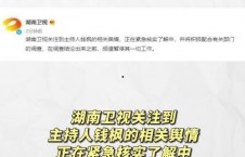娱乐圈718吃瓜网网址,揭秘明星幕后故事，带你领略娱乐圈风云变幻